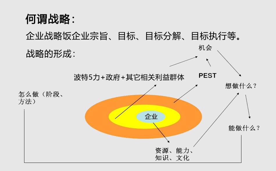 企业战略分析图