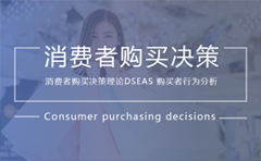 消费者购买决策理论DSEAS购买者行为分析